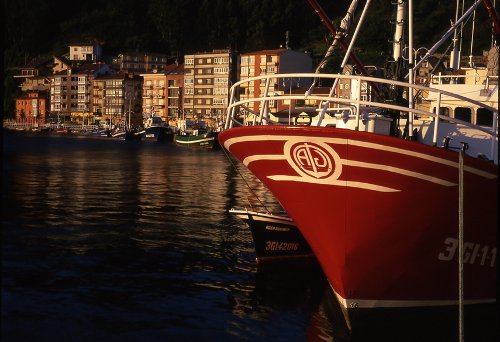 El muelle