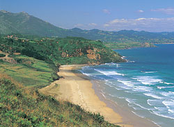 Playa Vega