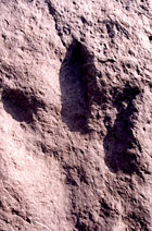 huella 