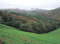 vista montañas