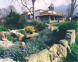 iglesia san mames