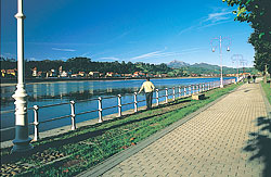paseo Grua