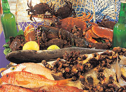 gastronomia