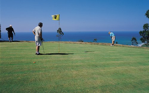 Imagen Golf