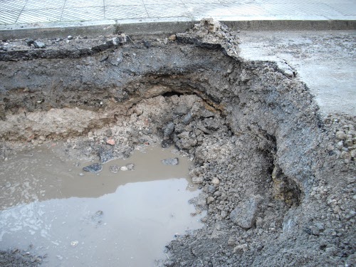 bache