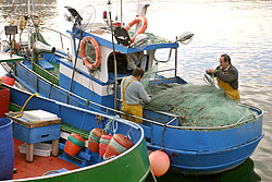 Actividad pesquera